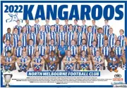 Afl football North Melbourne kangaroos team poster, free post, CHEAPEST