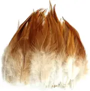 120Pcs 5-7" Natural Feathers for Crafts，Saddle Hackle Feather，Rooster Feathers B