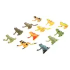 12x Frogs Model Amphibian Teaching Toy Ornament Set W/Fake Grass And Stone HEL