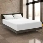 Pacific Coast Feather Protect-A-Bed Cool Mattress Protector