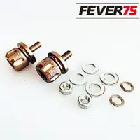 在飛比找蝦皮商城優惠-Fever75 白牌 紅牌 黃牌 機車 重機 手工車牌照螺絲