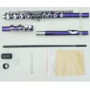 Funion Purple Flute Set 16 Hole Colourful C Key Flute With Case Care Kit