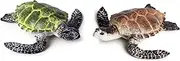 2 Pcs Realistic Ocean Turtle Squid Model Toys, Simulated Sea Life Animals Figurine Collection Playset Sea Creature Science Educational Props(Green+Brown)