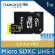 TEAM 十銓 PRO+ MicroSDXC 1TB UHS-I U3 A2 V30 記憶卡 (含轉卡+終身保固) 黑黃