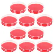 10 Pcs Glass Petri Dishes Culture Dishes Agar Plates Prepoured