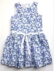 NWT Plum Pudding Toddler Blue & White Print Dress 3T