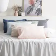 175GSM 100% Egyptian Cotton Flannelette Fitted Sheet Combo Set by Park Avenue...