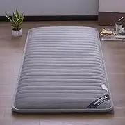 Japanese Tatami Floor Mattress - Anti-Slip Breathable Sleeping Pad for Student Dormitory, Folding Futon Topper for Single Double Bed, 120x200cm(47x79)