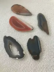 Geode Agate Slices in Earth Tones - 2