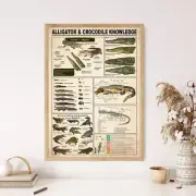 Alligator And Crocodile Knowledge Poster, Alligator And Crocodile Lover Wall Art