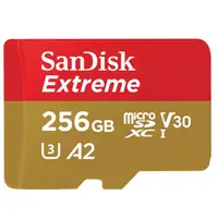 在飛比找momo購物網優惠-【SanDisk 晟碟】256GB microSDXC Ex