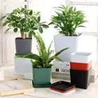 3 set with Tray Plastic Flower Pot Square Nursery Pot Desktop