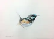 Fairy-wren, Watercolor artwork, Handmade, Original painting on paper