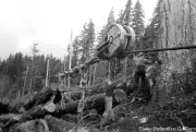 Loggers, Long Bell Lumber Co., Cowlitz Co, Washington 1941 -Historic Photo Print