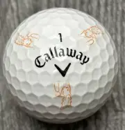 Callaway Chrome Soft Truvis Rio Golf Academy Squirrel Golf Ball NEW