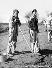 Convicts on a Chain Gang, North Carolina - 1936 - Vintage Photo Print
