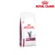 ROYAL CANIN 法國皇家 RF23 貓腎臟病配方 貓用處方貓飼料 2kg/4kg