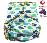 Top Quality Boyish Colour Modern Cloth Nappy Baby Boy MCN Nappy With Two Liners