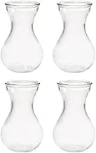 Ciieeo 4pcs Clear Glass Vase Bulb Vase Small Vases Decorative Flower Vase Mini Hyacinth Avocado Growing Bud Vase for Home Living Room Wedding Table Decorations