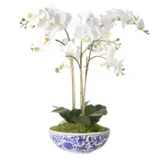 Rogue Artificial Phalaenopsis Orchid Pot Plant - White 46x46x66cm