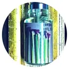 CONIFERAN cognac nard gugul timbersilk musk ambra EDP 10ml