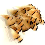 25pcs 3-4cm Seconds Damaged Natural Golden Pheasant Feathers DIY Fly Tying