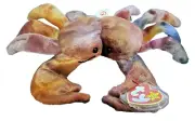 TY ORIGINAL BEANIE BABY 1996 – Claude the Crab – 7”
