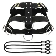 Strong Dog Weight Pulling Harness