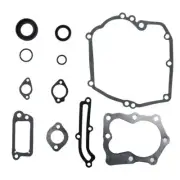 Engine & Carburetor Gasket Set For Excell EXVRB2321 Pressure Washer B&S 6.0HP