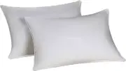 Dream Surrender Jumbo Pillow Set (2 Pillows)