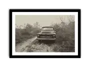 Vinatge Car Farmed Art