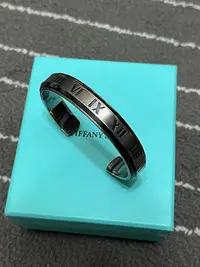 在飛比找Yahoo!奇摩拍賣優惠-Tiffany&Co Tiffany 925 TI 寬版羅馬