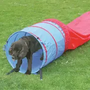 Pawise Agility Tunnel