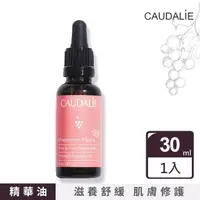 在飛比找momo購物網優惠-【Caudalie 歐緹麗】葡萄籽夜間保濕精華油 30ml-