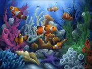 Clown Fish Accent & Decor Tile David Miller Undersea Art DMA2001AT