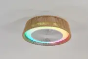 Modern Rustic Ceiling Fan Light with LED RGB Mood Lighting, or Dining Room