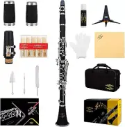 Complete GLY-PBK Ebonite Bb Clarinet Set with Hard Case, Reeds & Cleaning Tools