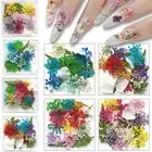 1/2/4Box Dried Flowers Pressed Flowers for Jewelry Making Crafts Nail Art Decor