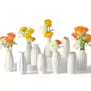 Small White Ceramic Vase Set of 10 - Mini Bud Vases for Flowers and Pampas Gr...