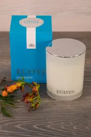 Madison Jar Seagrass & Waterlily--ECOY-MADI15