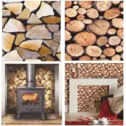 LOGS WALLPAPER - REALISTIC WOOD EFFECT FEATURE WALL