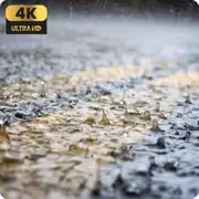 Tranquil Rain and Ripples Sleep Harmony for Fire TV