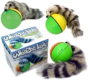 D.Y. TOY - the Original Weasel Ball, Interactive Motion Toy 3 Pack