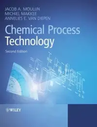 在飛比找博客來優惠-Chemical Process Technology