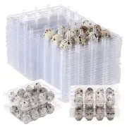 60 Pcs Quail Egg Cartons Square Dozen Egg Boxes Classical 3x4 Style Holds Up ...