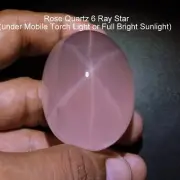 427 Ct 48.3x36.6x33 MM Natural Rose Quartz Star 6 Ray Oval Shape Cabochon Gems