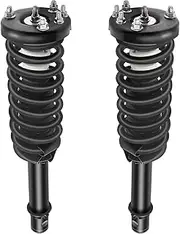 GDSMOTU Front Complete Struts & Coil Spring Assembly Compatible for Honda for Accord 2003 2004 2005 2006 2007, Set of 2 Shocks & Struts Replace 172123L 172123R