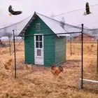 Nylon Bird Netting Mesh Hawk Netting Chicken Coop Netting for Vegetables Poultry