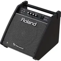 在飛比找蝦皮購物優惠-Roland PM-100 PM100 80瓦  電子鼓音箱