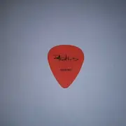 The DAVE MATTHEWS BAND 2010 Signature Concert Tour Dave's GUITAR PICK #1